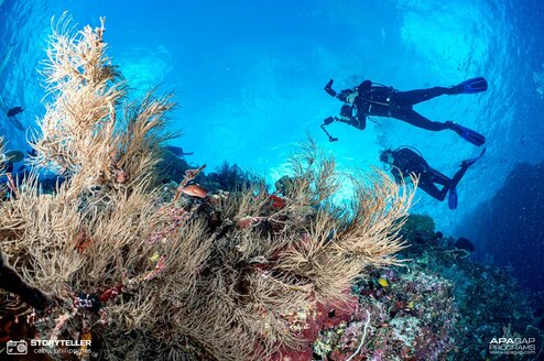 Gap Year Programs Across Asia